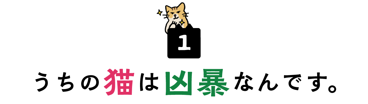 １．うちの猫は凶暴なんです。