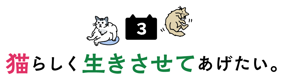 次ページイメージ