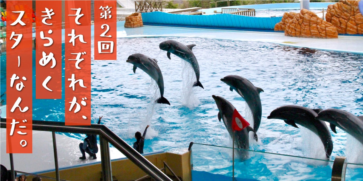 第２回  それぞれが、きらめくスターなんだ。　