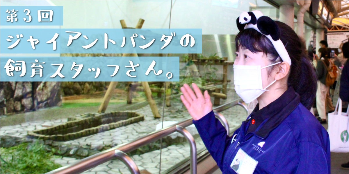 次ページイメージ