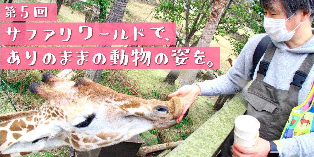 次ページイメージ