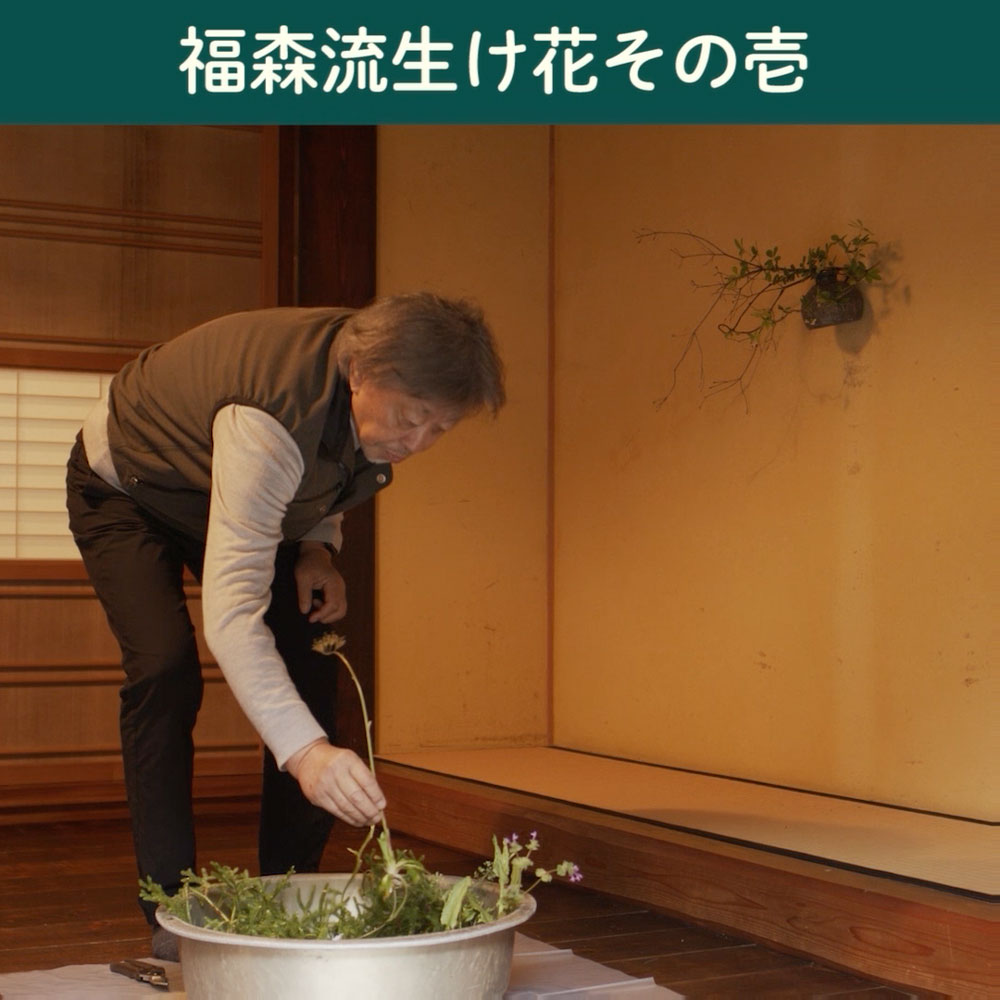 美とはなんだ？ 悩んだし、ずっと見てたし、やがて忘れた。 | 福森雅武