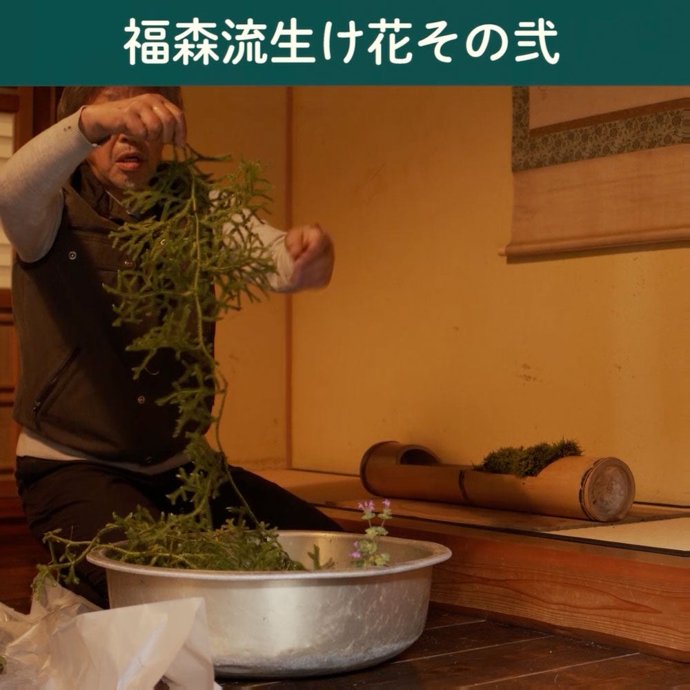 美とはなんだ？ 悩んだし、ずっと見てたし、やがて忘れた。 | 福森雅武