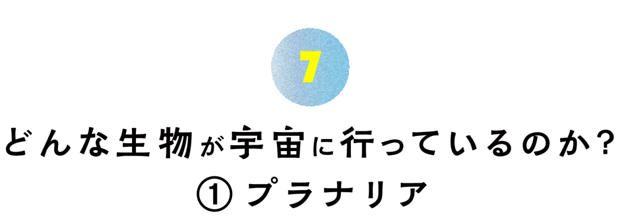 第７回 どんな生物が宇宙に行っているのか？ （１）プラナリア