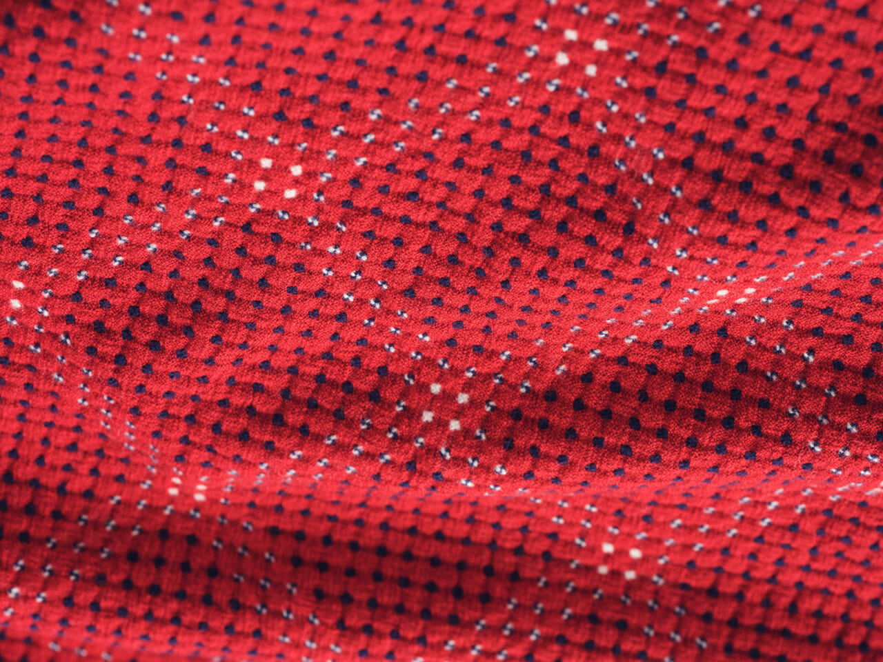 ▲「きんとと」