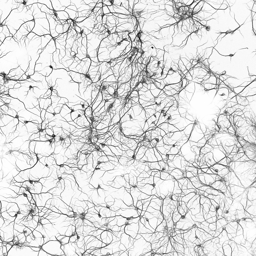 ▲撮影 河野玲奈