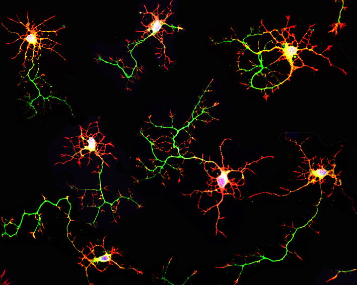 ▲撮影 小山隆太