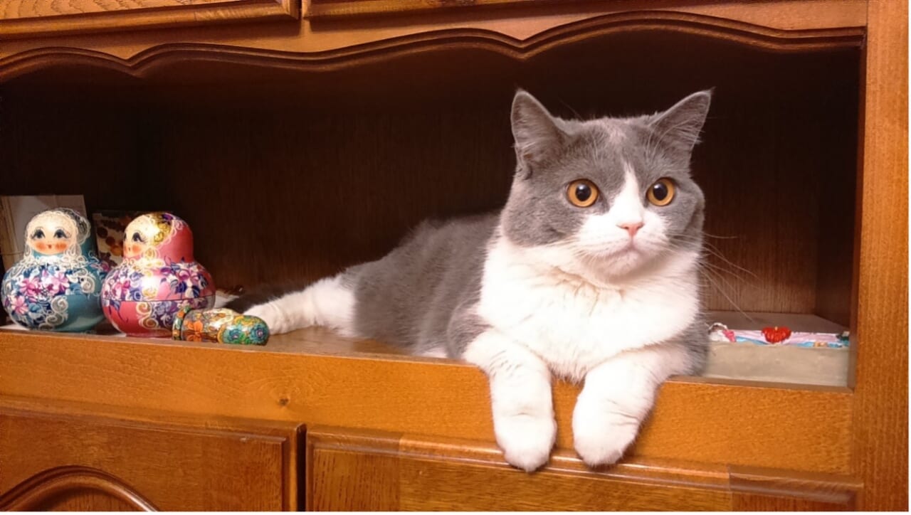 ボーリャとモスクワの自宅で