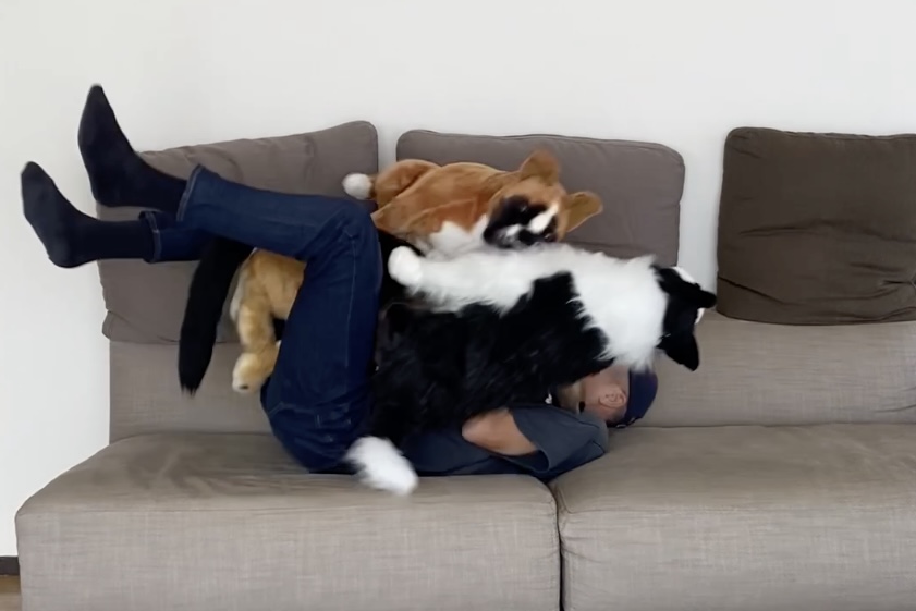 加賀美さんのInstagram動画より