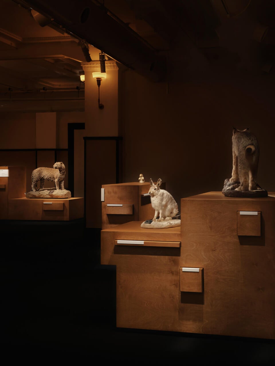 写真　岡庭璃子