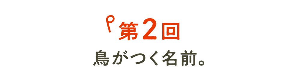 次ページイメージ