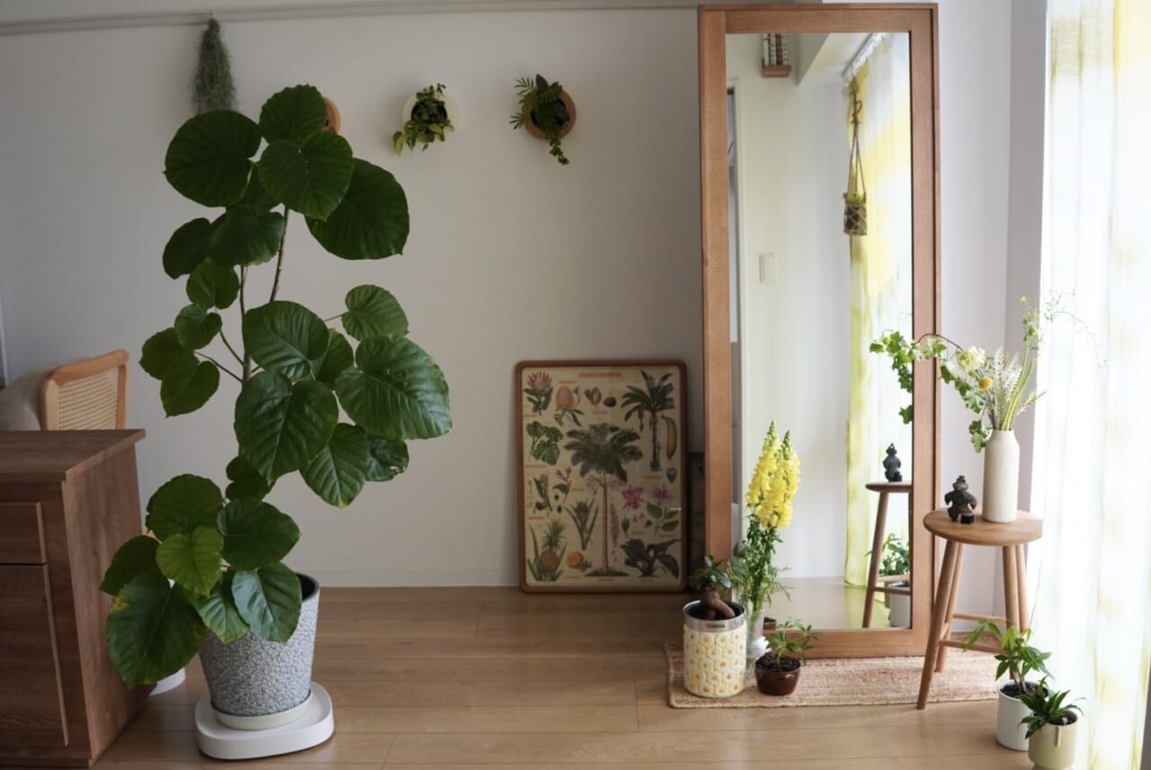 ▲きょんルーム全貌。右手の花瓶そばにいるのは土偶さん。