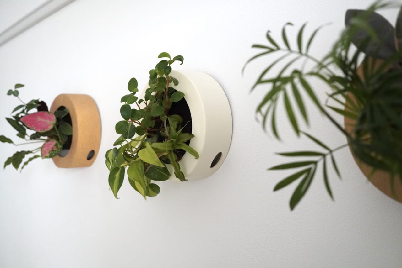 ▲きょんちゃんが最初に買った丸フレームは中央。大きな画鋲のようなもので壁にとめます。