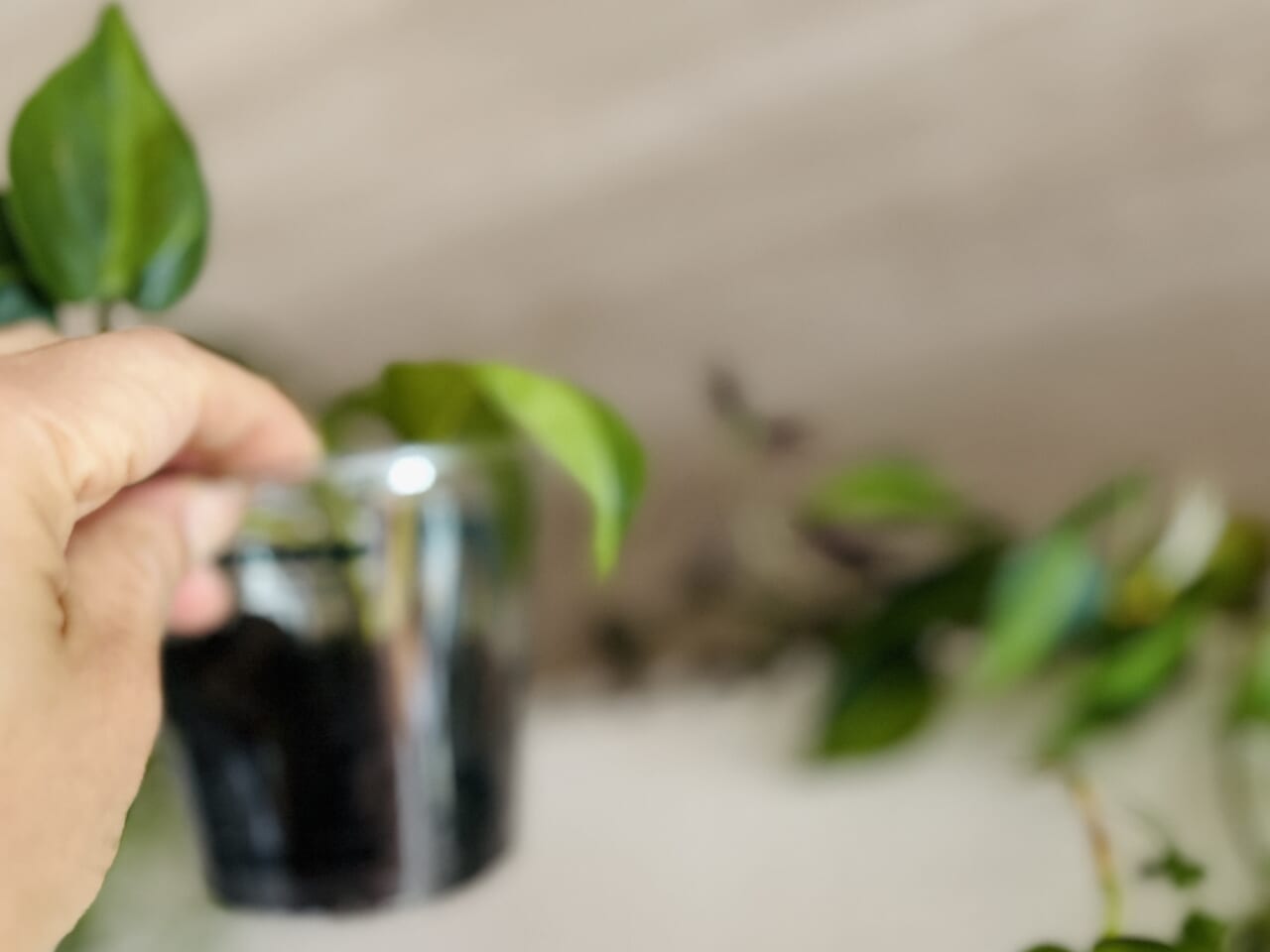 ▲ファストフードのジュースが入っていたプラスチックのカップに入れて。