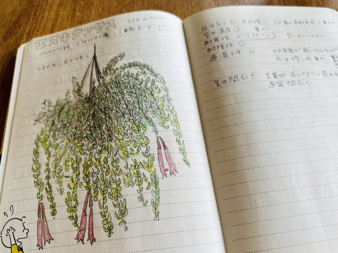 ▲私の植物ノート。原産地や分類、耐寒性や好光性、肥料の時期などをメモします。