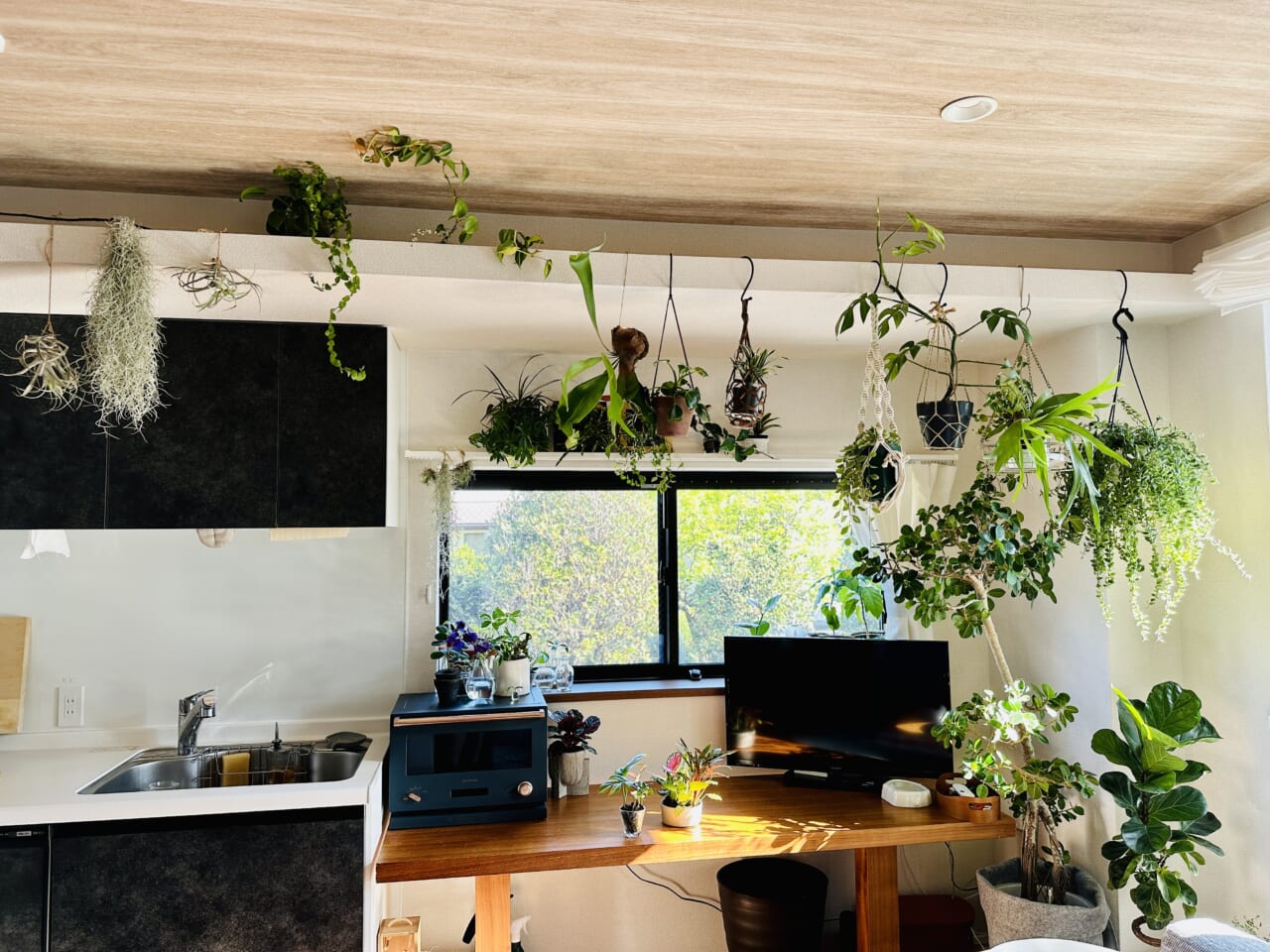 ▲キッチンまわり。