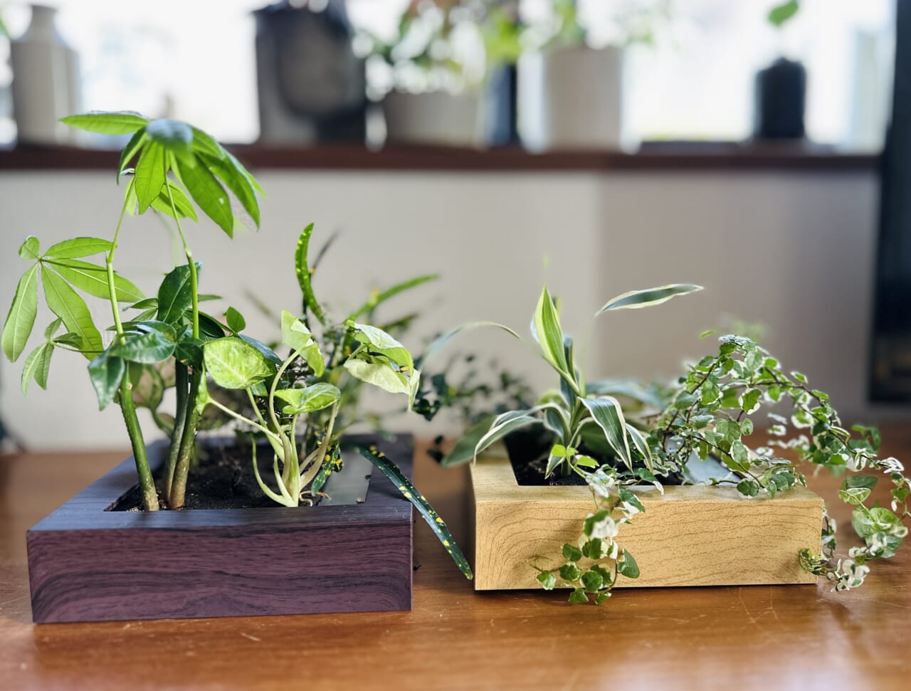 ▲フレームを横に倒して部屋に置いてもかわいいです。