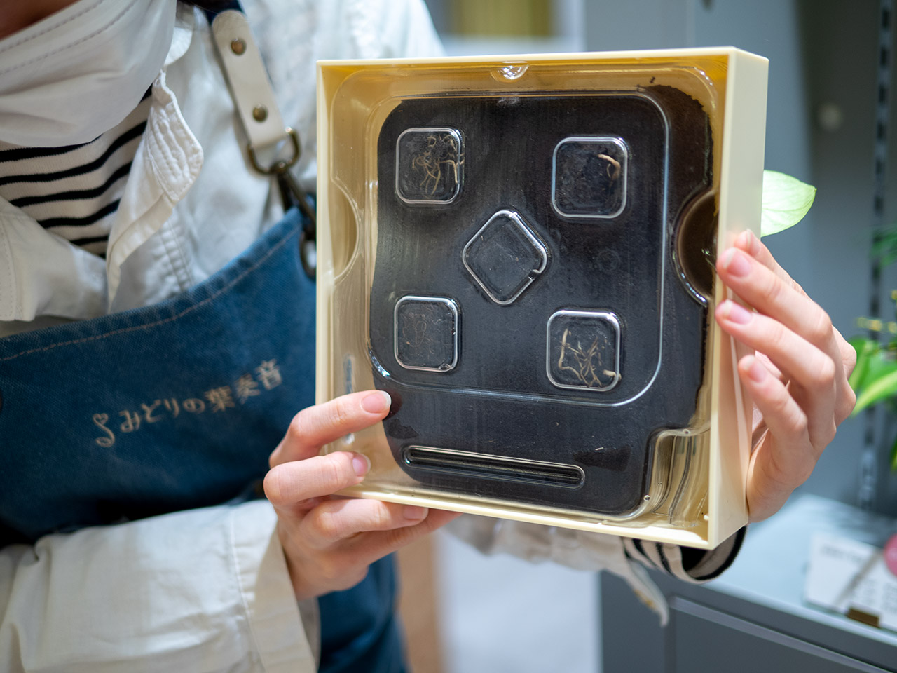 ▲裏はこんなふうになっていて、植物が根を張るようすも見えます。これは５苗用。