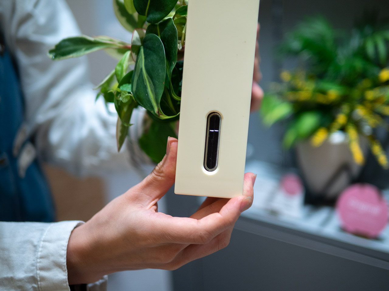 ▲下に水をためておけます。この横のガイドでも水量がわかります。