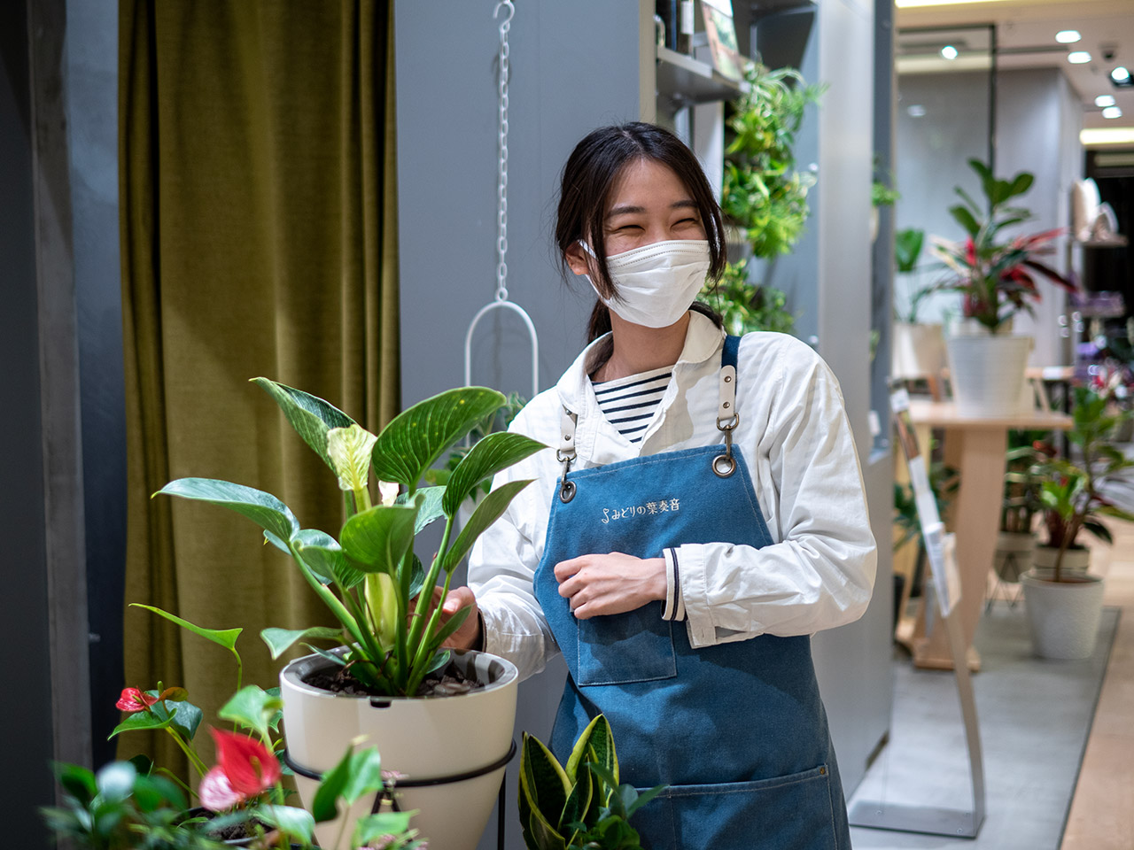 ▲林さんのお気に入り、フィロデンドロン。