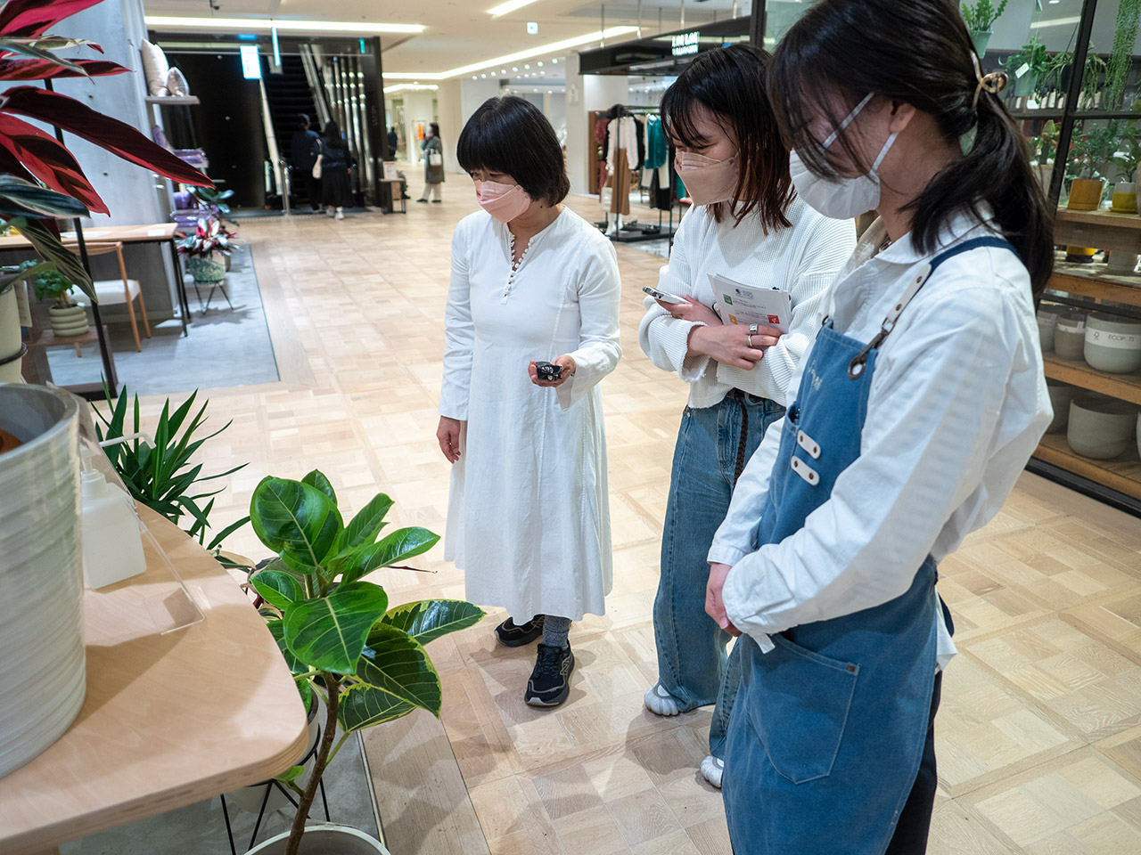 ▲次に自宅の植物をどう植え替えるか、無言で脳内検討している３人。