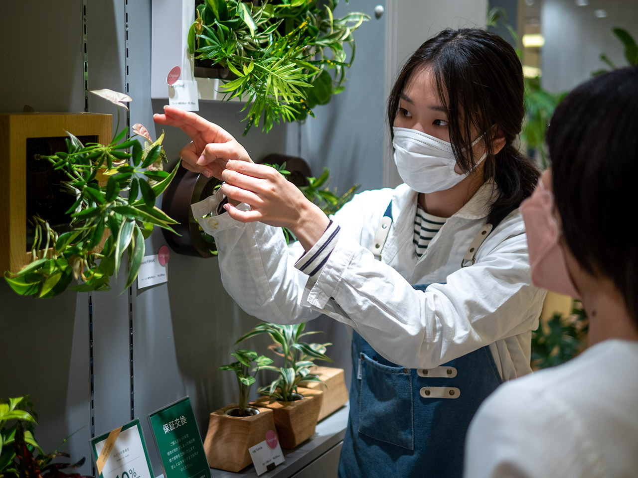 ▲切り戻ししても大丈夫。