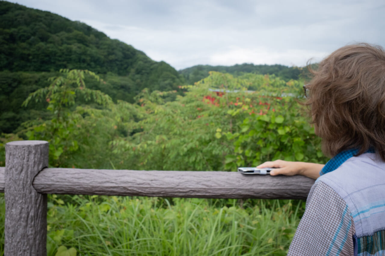 ▲この取材の後、地元の自治体で周辺木々の伐採が決まったそうです。よかった！