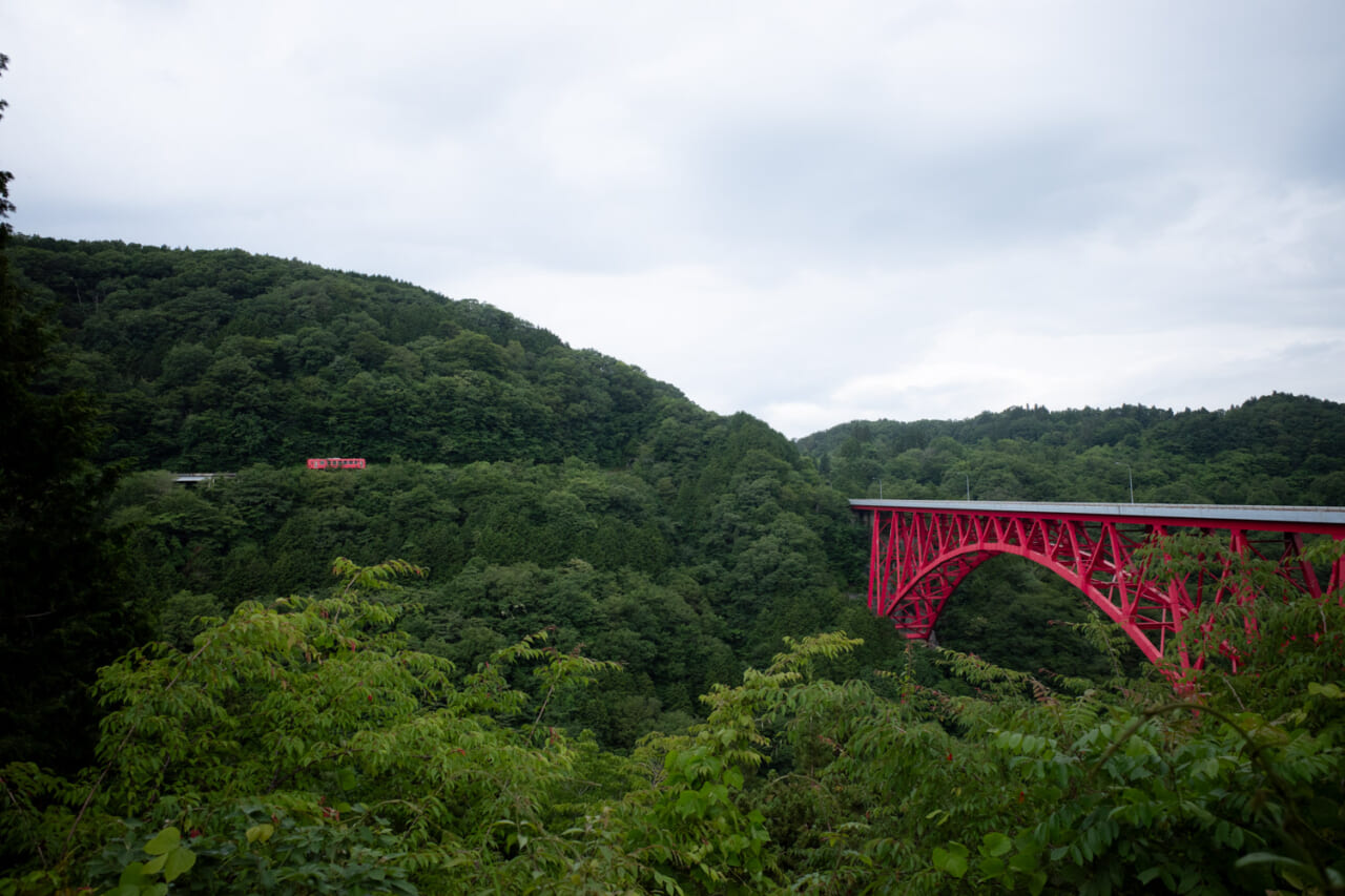 ▲ゆっくりゆっくり山の中を走ります。