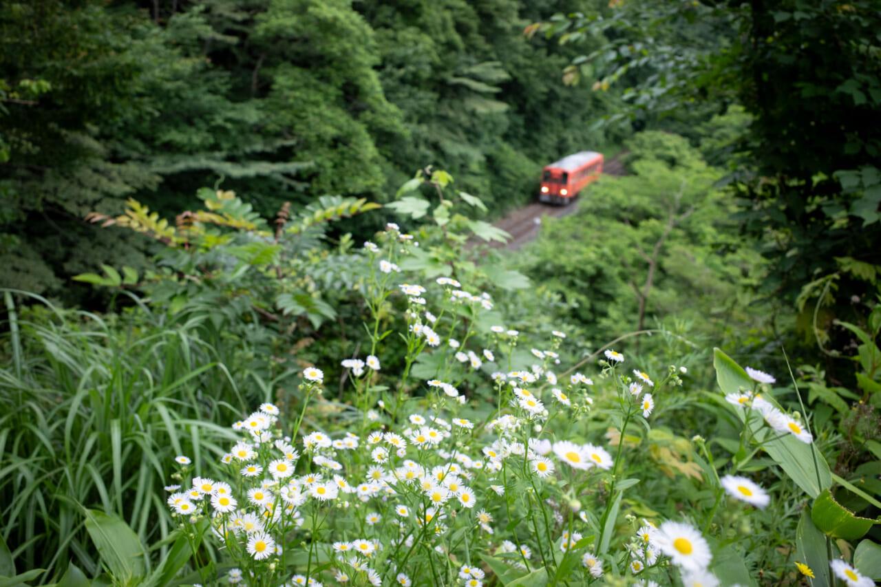 ▲すばやくカメラを取り出すも、惜しくもピントが手前に！
