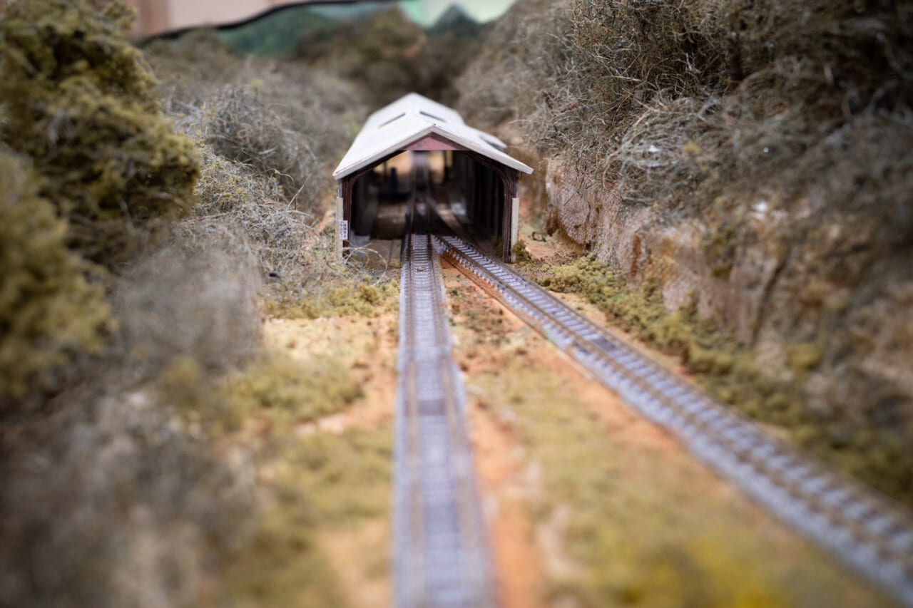 大井川鐡道・奥大井湖上駅の全景 - キハ58君の鉄道など ひとコマ