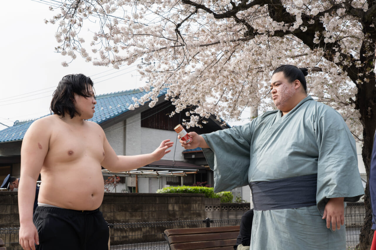 「サンクチュアリ -聖域-」より