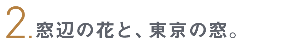 第２回 窓辺の花と、東京の窓。