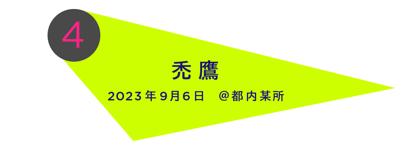 2023年9月6日　＠都内某所 禿　鷹