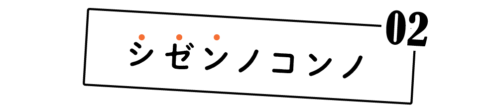 次ページイメージ