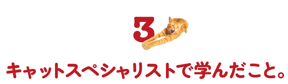 次ページイメージ