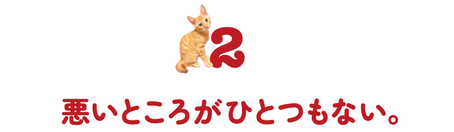 ２悪いところがひとつもない。