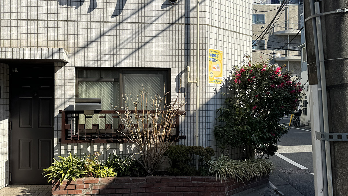 ▲真っ直ぐ伸びる影。