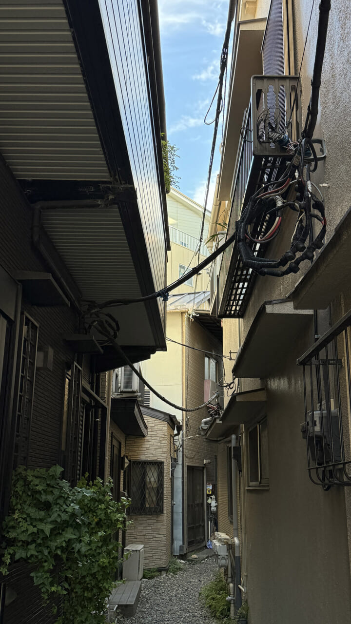 ▲祖母の家の玄関先から見る空。