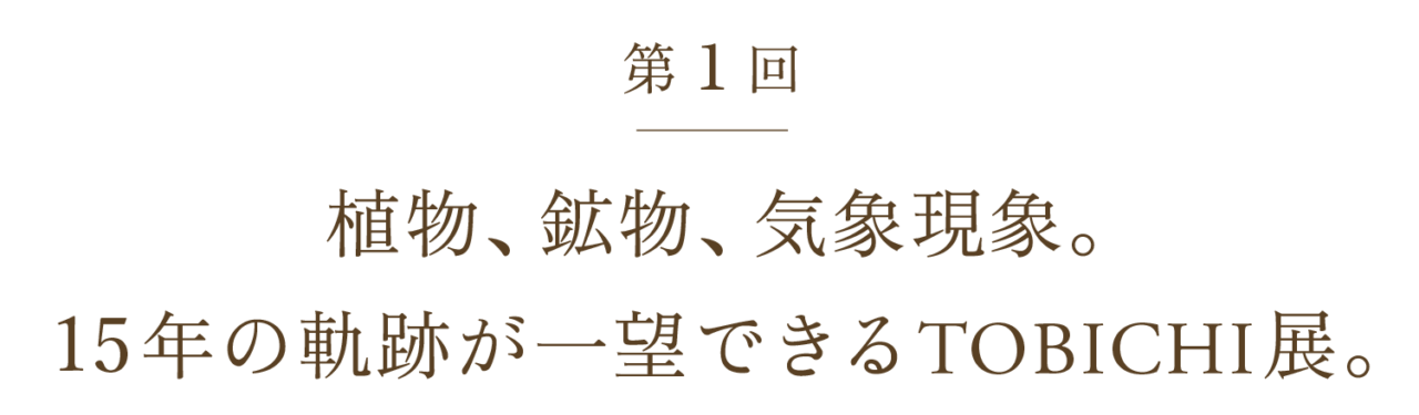 植物、鉱物、気象現象。  15年の軌跡が一望できるTOBICHI展。