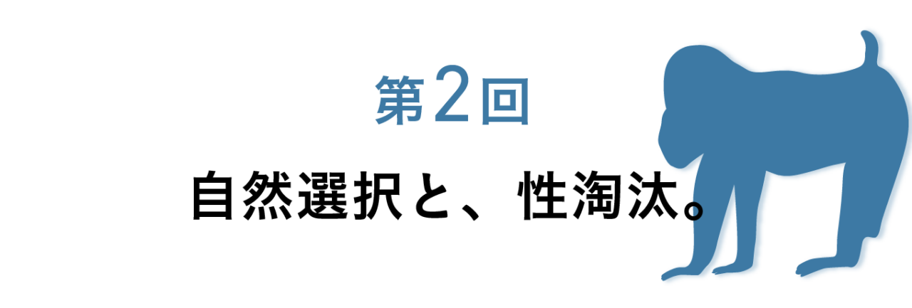第２回 自然選択と、性淘汰。