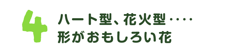 第４回　ハート型、花火型、まち針型‥‥形がすごい