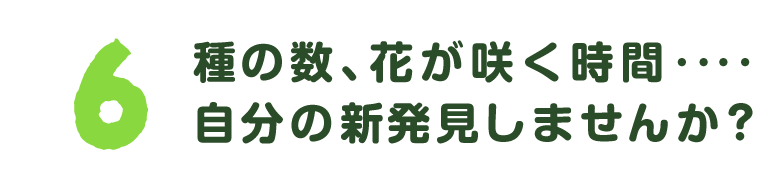 第６回　種の数、花が咲く時間‥‥自分の新発見しませんか？