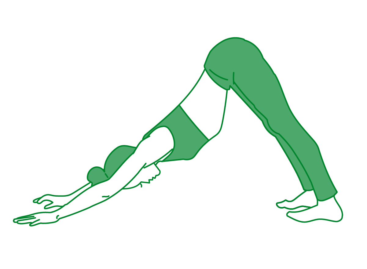 ＜ダウンドッグのポーズ＞