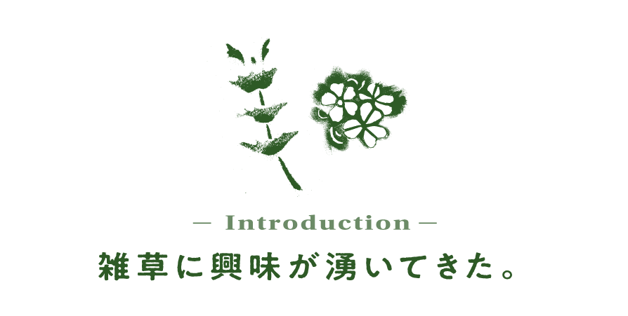 Introduction） 雑草に興味が湧いてきた。