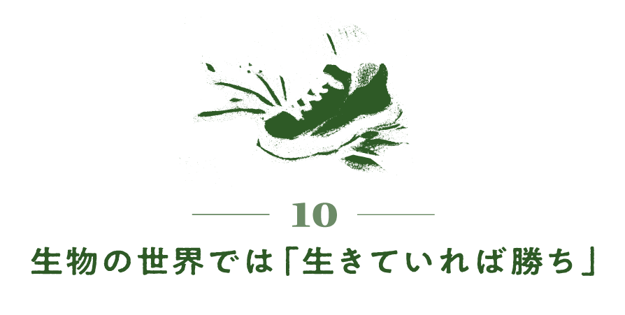 10）生物の世界では「生きていれば勝ち」
