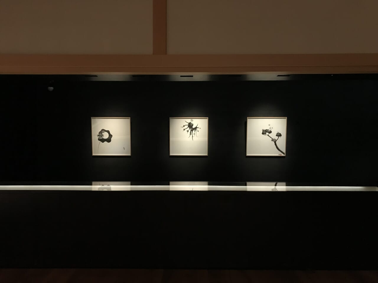 ３点ともに 佐伯洋江《無題》2009年 紙にシャープペンシル、鉛筆、色鉛筆、インク ©Hiroe Saeki