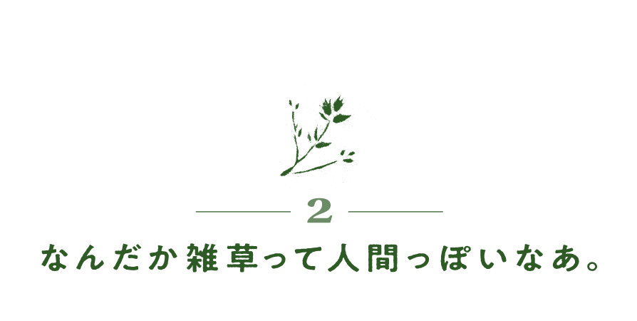 次ページイメージ