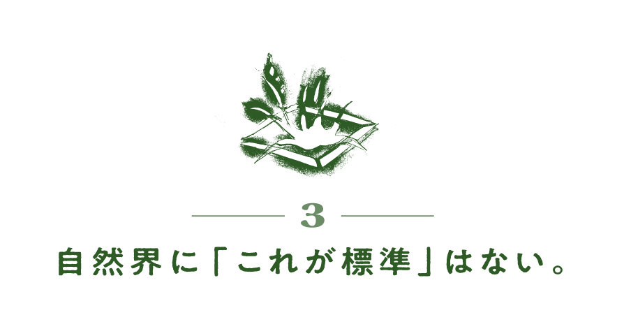 ３）自然界に「これが標準」はない。