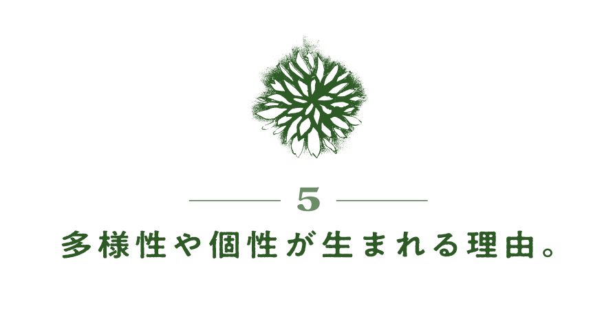 ５）多様性や個性が生まれる理由。