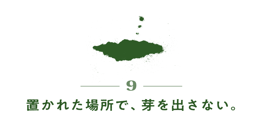 ９）置かれた場所で、芽を出さない。